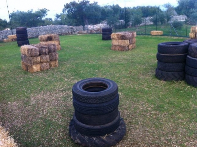  El campo 